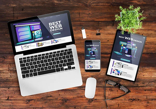 professionally designed website